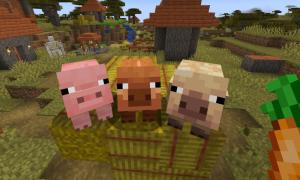 All Minecraft Pig Variants and Where to Find Them