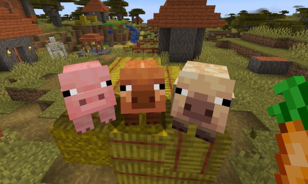 Pig variants minecraft