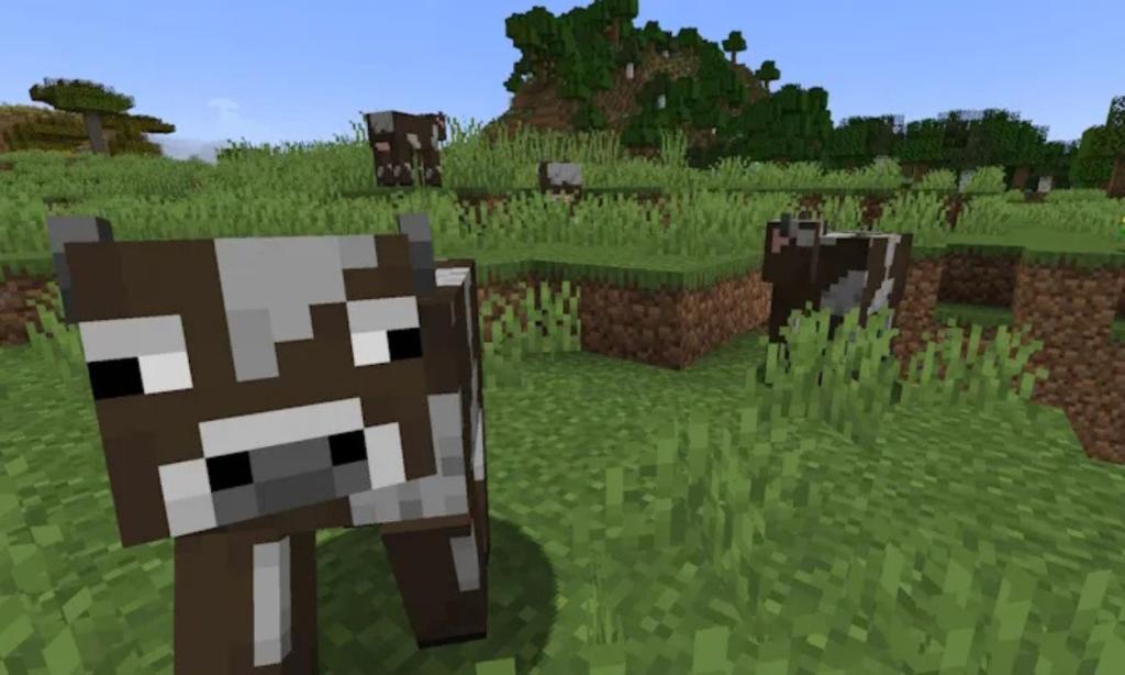 Temperate Cows Minecraft