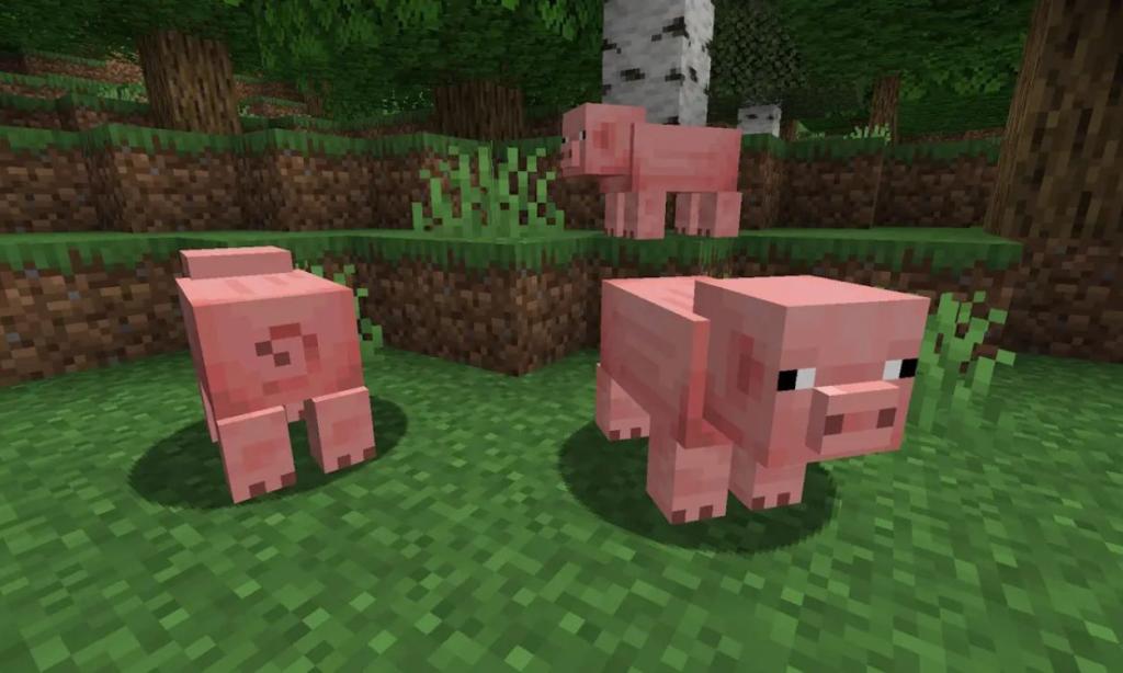 temperate Pigs Minecraft