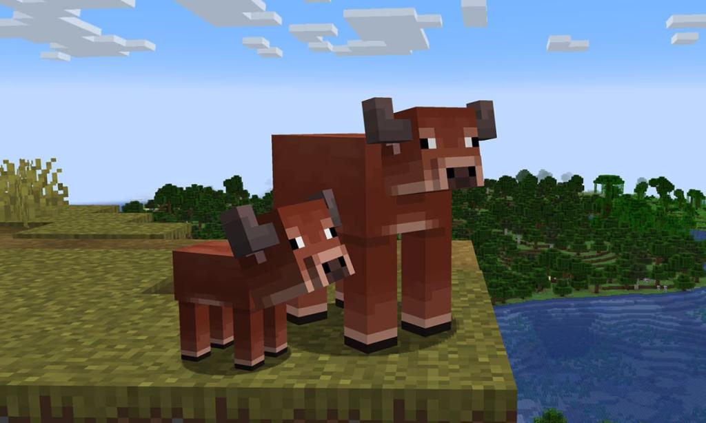 Warm Cows Minecraft