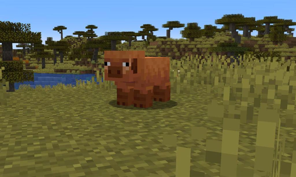 Warm Pigs Minecraft