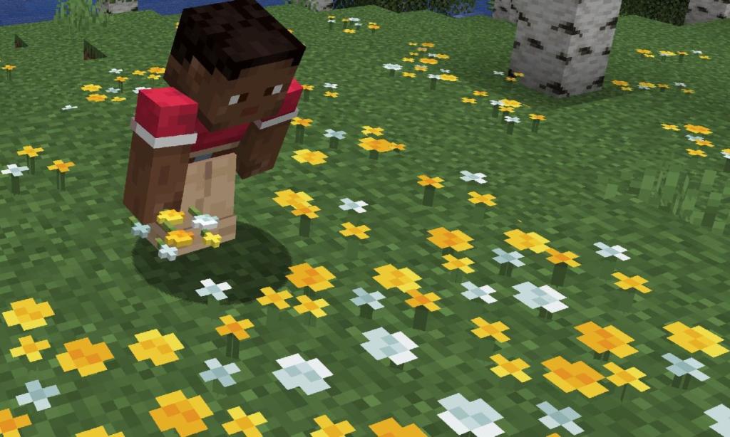 Wildflowers Minecraft