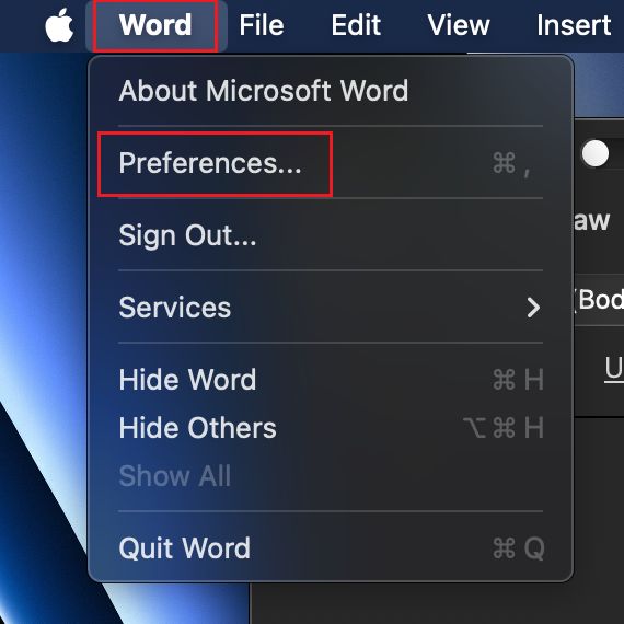 open preferences of microsoft word on mac