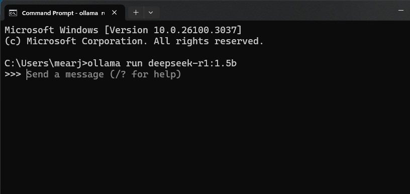 run deepseek r1 model via ollama