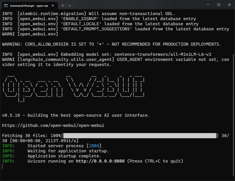 start open webui server