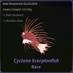 Cyclone Scorpionfish