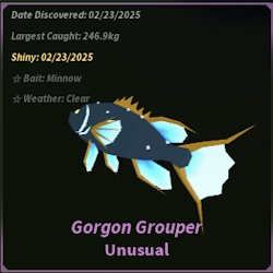 Gorgon Grouper