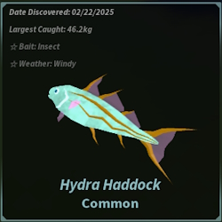 Hydra Haddock