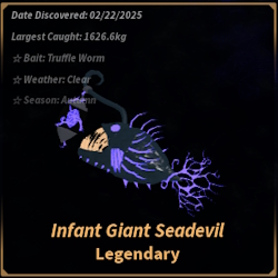 Infant Giant Seadevil