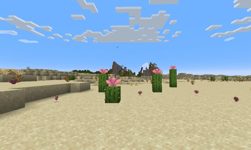 Minecraft Cactus Flower Location