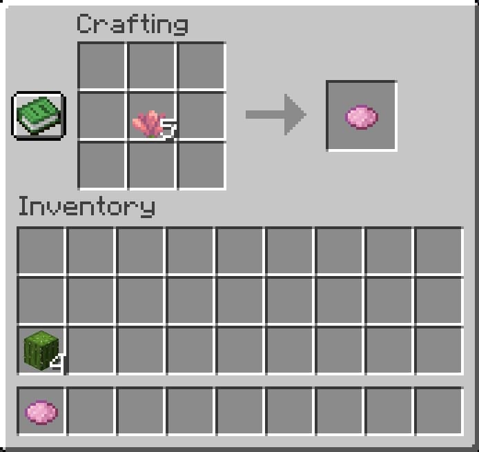 Minecraft Cactus Flower Pink Dye