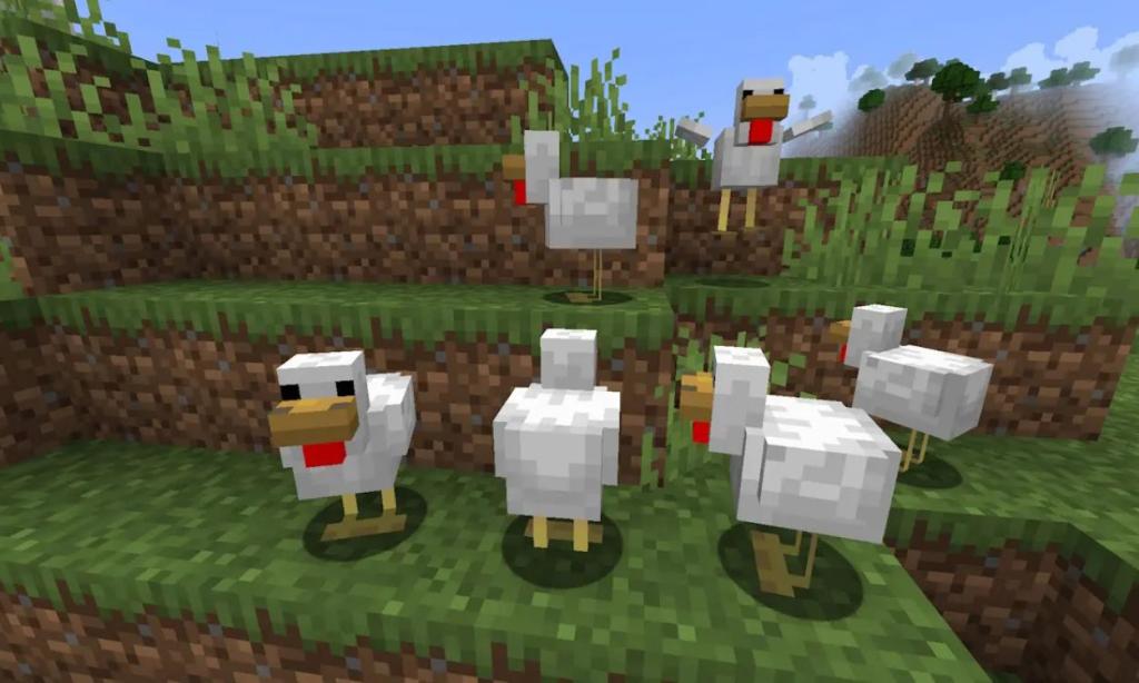 Minecraft Temperate Chickens