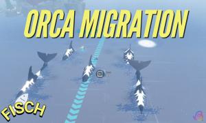 How to Complete the Orca Migration Event in Fisch