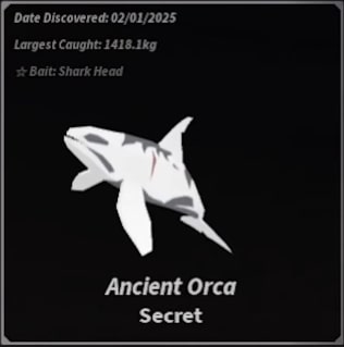 Orca Hunt Event