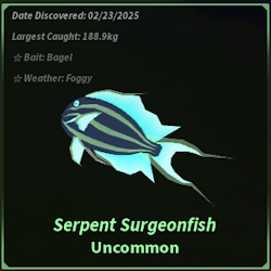 Serpent Surgeonfish