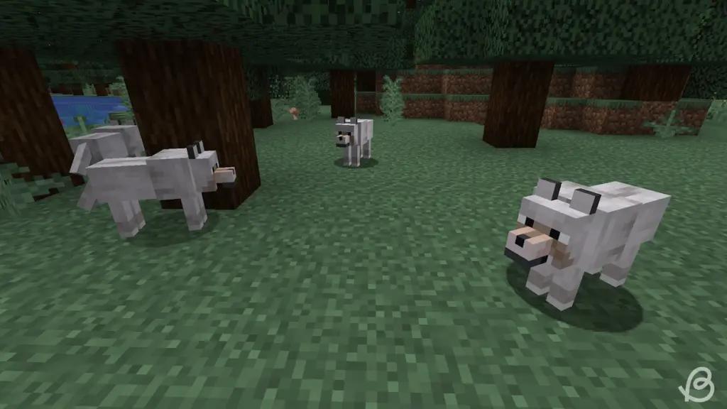 Wolf-variants-Minecraft