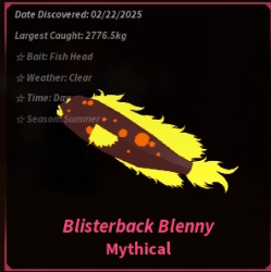 Blisterback Blenny