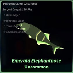 Emerald Elephantnose Fisch Calm Zone