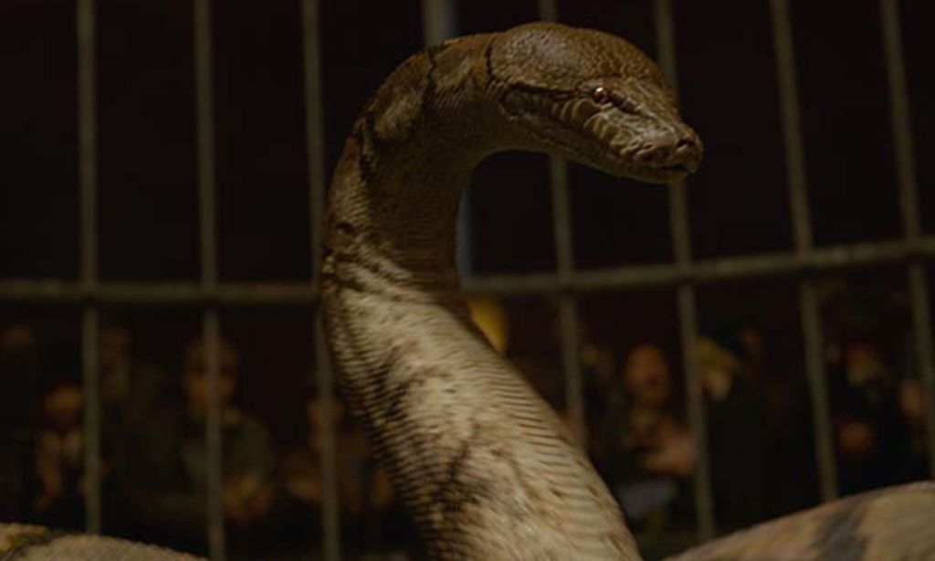 Nagini in Harry Potter