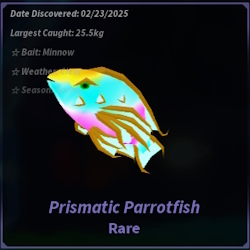 Prismatic Parrotfish Fisch Calm Zone