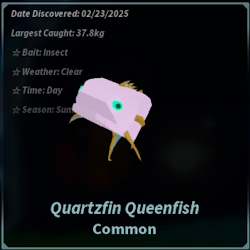 Quartzfin Queenfish Fisch Calm Zone