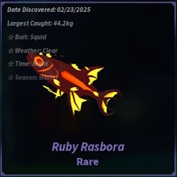 Ruby Rasbora Fisch