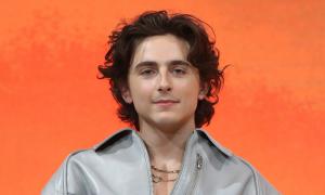 10 Best Timothee Chalamet Movies, Ranked