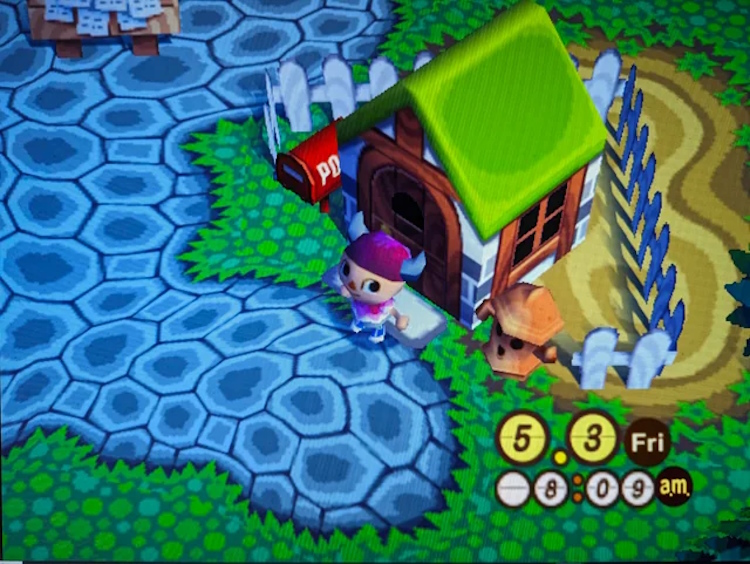 Animal Crossing