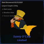 Sunny O'Coin